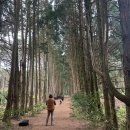 소낭 2호점 이미지