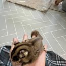 마리앤쥬 이미지