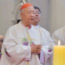 선종펫 이미지