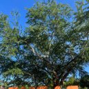 연수골프스쿨 이미지