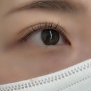 용화여자고등학교 | [비안브로우] 노원역속눈썹 잘하는 곳 비안브로우 속눈썹펌 후기
