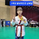 용인대 금곡 태권도 이미지