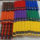 유림엘리트태권도 이미지