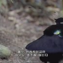 칠성식당 이미지