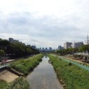 내를건너서숲으로도서관 | [은평 도서관] 내를 건너서 숲으로 도서관 - 윤동주의 길