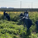 완주로컬 잡센터 이미지