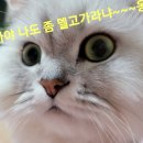 묵현로25번길37 이미지