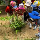 예초유치원 이미지