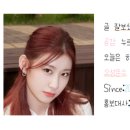 수정-123 이미지