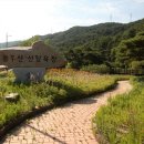 용두산