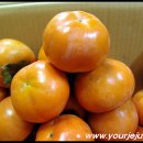 봉옥농장 이미지