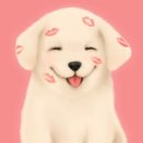 개팔자 상팔자 이미지