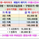 장유스파랜드전용탕 | 부산 근교 김해 아이들이 놀기 좋은 가성비 실내 워터파크 수영장 장유스파랜드 후기