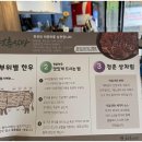 청춘식당 이미지