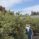 짱구 짱아 애견샵 | 제주 짱구스토어 팝업 :: 놀멍쉬멍 짱구 굿즈, 피규어, 문구류 내돈내산 방문후기🍊