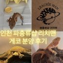 리치 | 볼거리 가득했던[인천 파충류샵 리치맨] 방문 후기