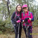 부곡농장 이미지