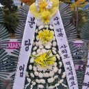 성남시청앞 인도 이미지