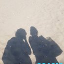 민지네 민박 이미지