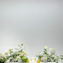솔드스페이스