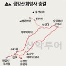 인사혁신처 버스정류장 이미지