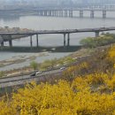 응봉개나리어린이공원 이미지