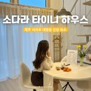 소다라 타이니 하우스 이미지