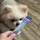 펫뉴트리션 | 강아지 기관지 영양제ㅣ간식같은 영양제 펫누리 뉴트리션플랜 기관지B 후기