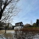 행복한전원공인중개사사무소 | 양평 양동면 금왕리 전원주택매매 대지 607평!!!/ 프라이빗한 주택을 찾는 분께 추천합니다. /매매가격...