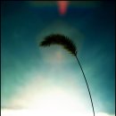 작은풍경 이미지