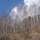 수산리-3 이미지