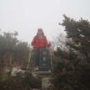 산내들내 이미지