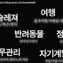 노마드컴퍼니 이미지