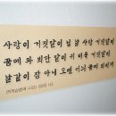 강화문학관 Daum카페