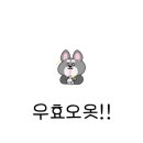 댕냥테라피 이미지