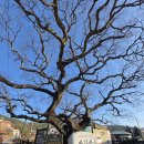 거제식물원 이미지