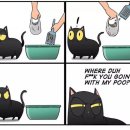 똥꼬발랄 이미지