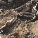 바얀불락 이미지