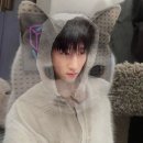 백광 이미지