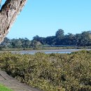 6월 27일 요산 리딩 Te Atatu Walkway 이미지