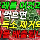 뇌 독소 빼는 법, 간 독소 빼는 법 몸속 독소 제거 음식 민들레 이미지