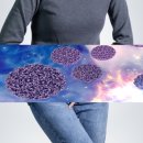 씻고신고 신발세탁 이미지