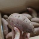 창바우농장 이미지