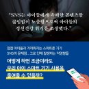 디지털랜드 이미지