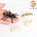 개미어린이집 - 목포시 | 개미어린이집