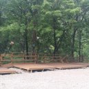 흥정민박 이미지