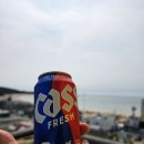 태안스파펜션 채플힐 | 태안 만리포해수욕장 숙소 추천｜말리오션스파 펜션 패밀리스파룸 1박 2일 숙박 후기 (내돈내산)