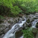 꽃사슴산장 이미지