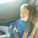 지오1펜션 이미지