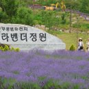 무릉별유천지 이미지